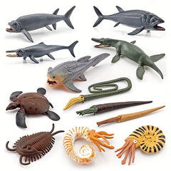 Prehistoric Ammonite Sea Turtle Leeds Fish Taeman Fish Dragon Mar