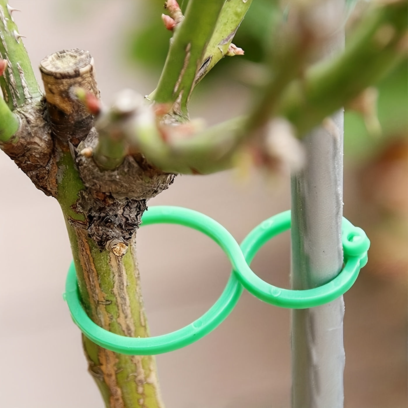 50pcs Plant Stand Trellis Clip for Growing Vegetables Upright