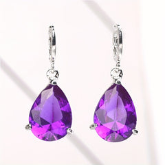2pcs Men's Amethyst & Drop Earrings Noble Earrings