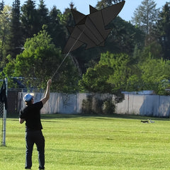 Fighter Kite With Wire Cartoon Kite For Outdoor Entertainment