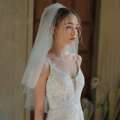 Sheer Lace Wedding Veil with Tulle Train & Headpiece
