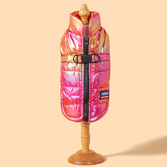 Rainbow Changeable Pet Chest Vest Dog Coat Colorful Rose Red Pet Clothes Vest
