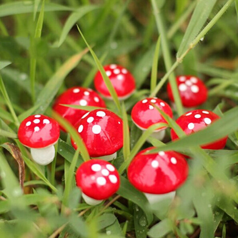 10pcs Mini Foam Mushroom for Succulent Potted Plant Decor