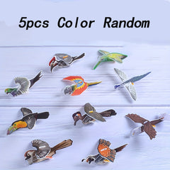 Bird 3D Educational Toy Children's Novelty Stress Relief Gift