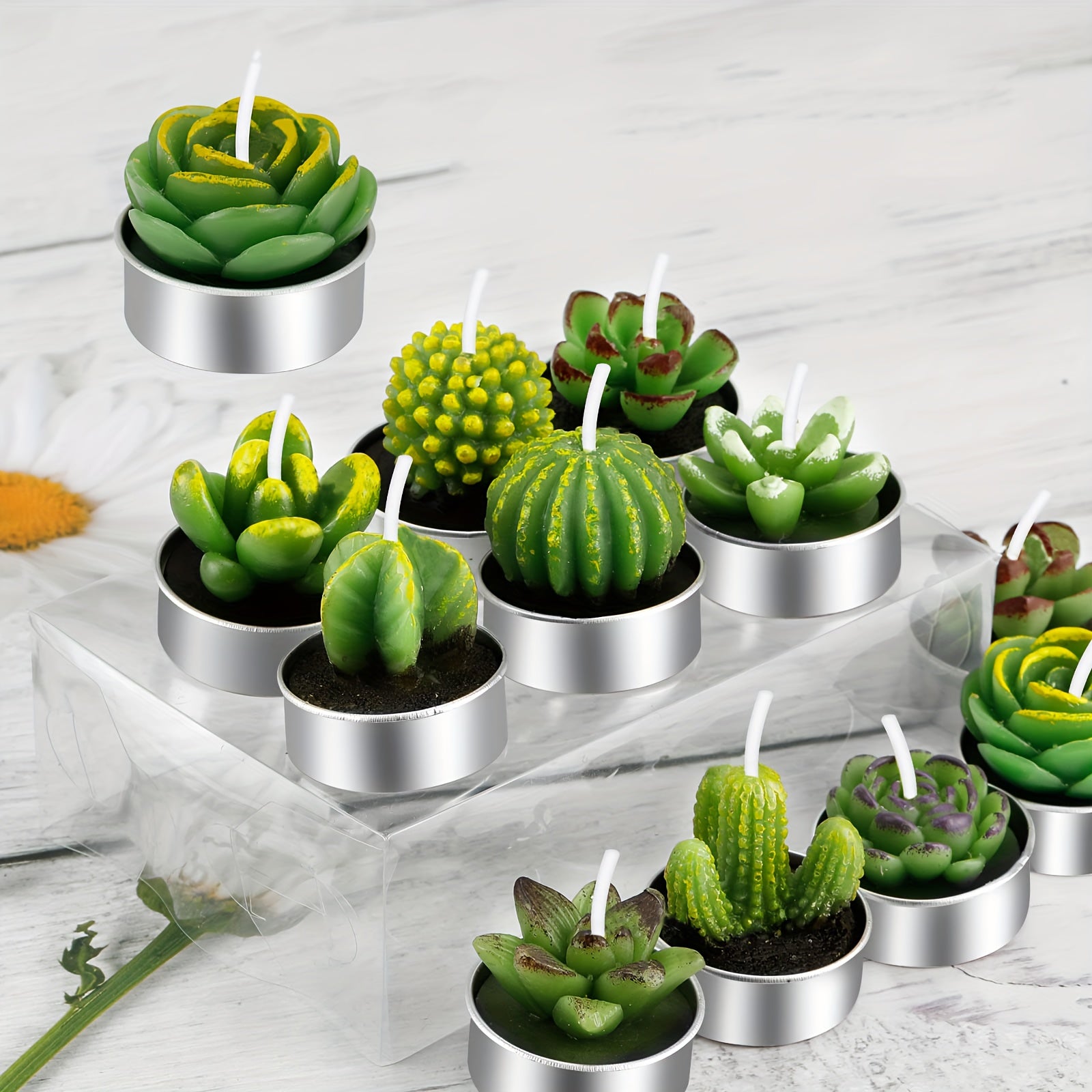 Novelty Cactus Tealight Candles for Home Decor