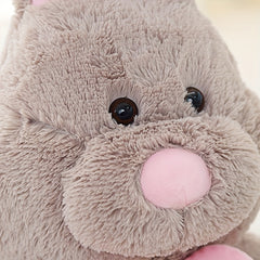 Cute Cartoon Rabbit Plush Toy & Throw Pillow