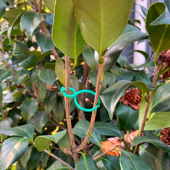 10pcs Plant Support Clip For Garden Gardening Green