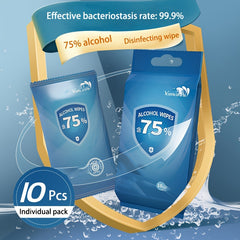 10pcs Alcohol Wet Wipes Disinfectant Portable Hygiene Paper