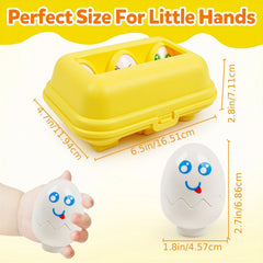 Sensory Matching Eggs Educational Toddler Toys