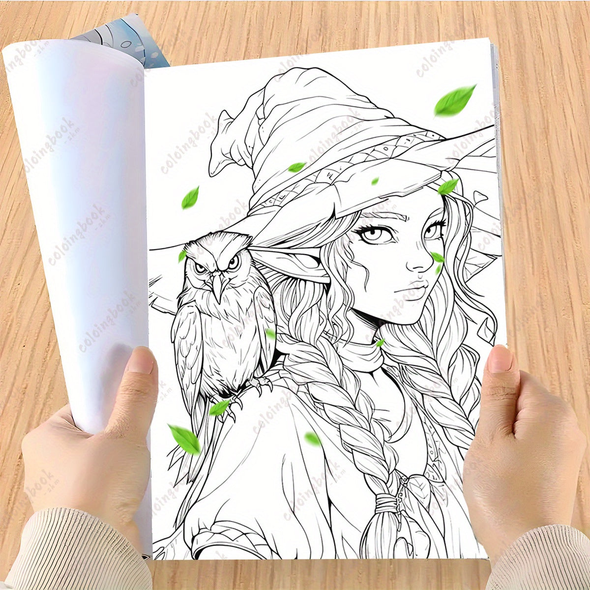 Witchies Coloring Book 29 Pages Deluxe Version for Adults