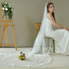 Cathedral Train Bridal Veil with Bow Long Train Wedding Headpiece