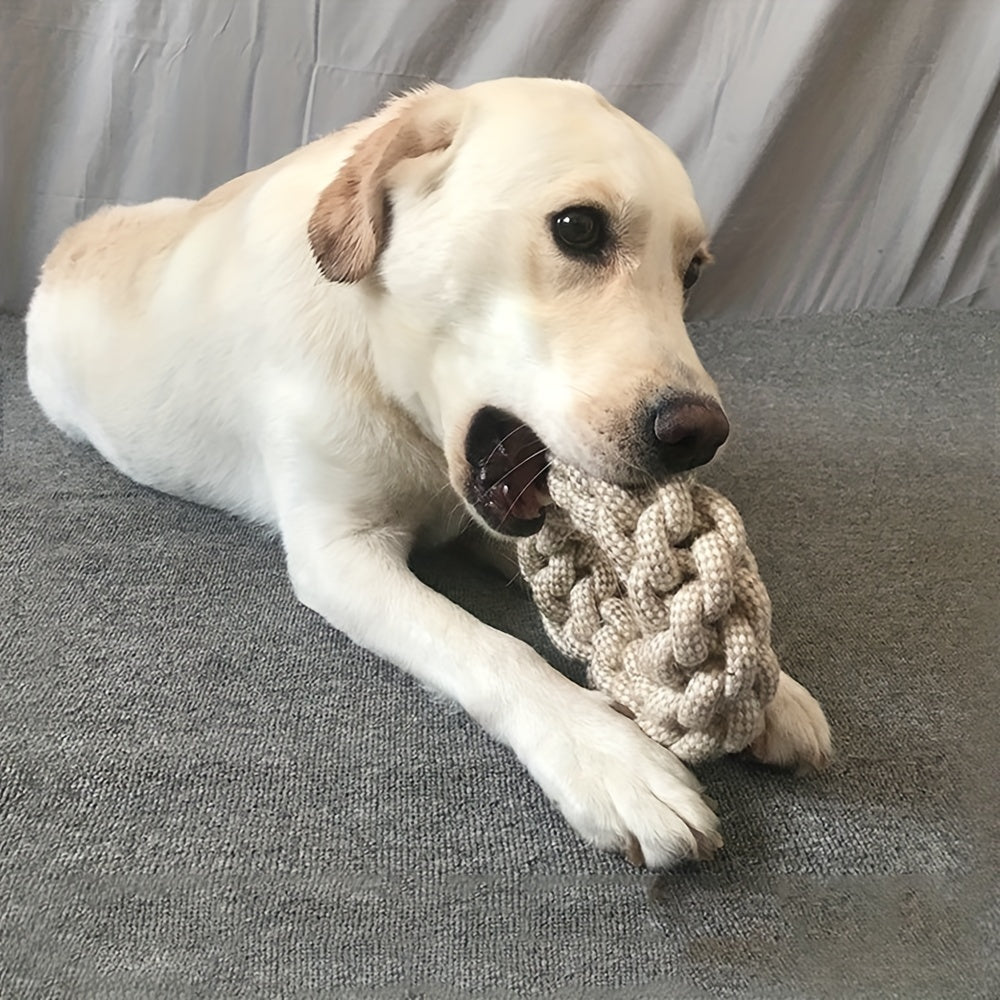 Durable Cat & Dog Teaser Toy Teeth Cleaning Star Wand Rope Knot