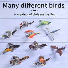 Bird 3D Educational Toy Children's Novelty Stress Relief Gift