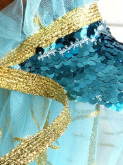 Girls Cartoon Peacock Mesh Princess Cape for Party Performance