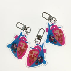 Heart Shaped Keychain Transparent Plastic Accessory for Couples & Friends
