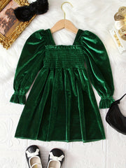 Velvet Long Sleeve Princess Party Dress for Girls