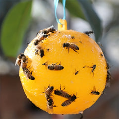 Pumpkin Shape Sticky Fly Trap Ball Outdoor Pest Control