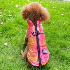 Rainbow Changeable Pet Chest Vest Dog Coat Colorful Rose Red Pet Clothes Vest