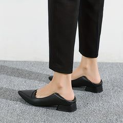 Women's Pointed Toe Low Heels Slip On Shoes Casual Work Shoes