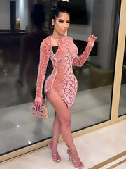 Velvet Semi Sheer Zipper Long Sleeve Bodycon Dress Women's Plus