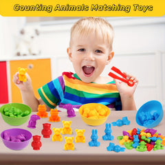 Animal Toys Matching Game & Sorting Bowl Set for Ages 3