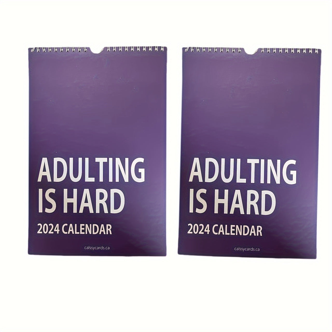 Adulting Is Hard Wall Calendar for Adults