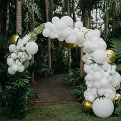 40pcs Matte Latex Balloons for Party Decorations