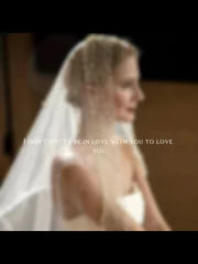 Bridal Headpiece Veil with 2m Long Train
