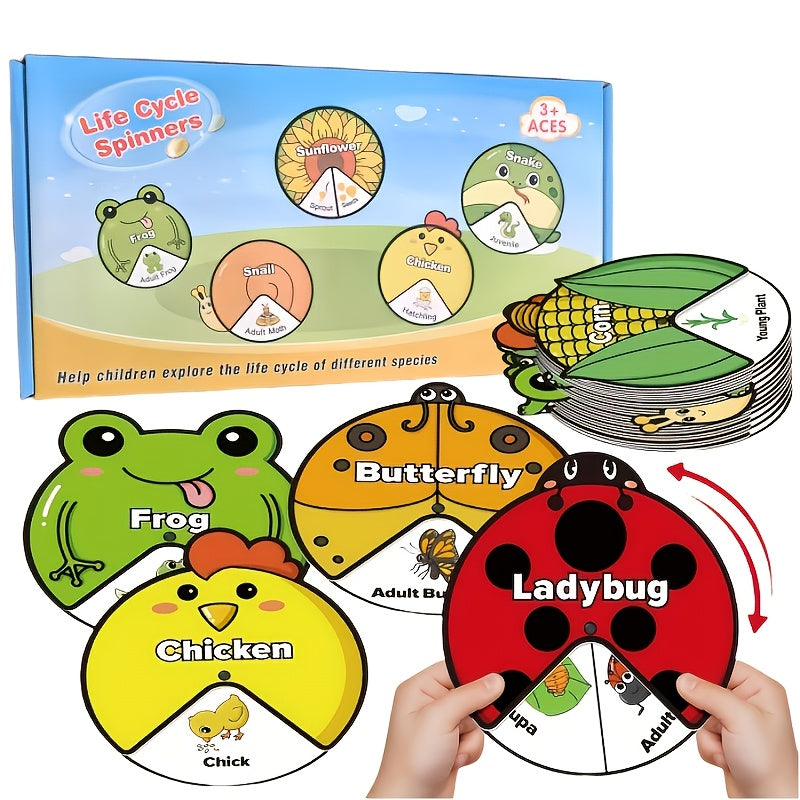 Kids Felt Lifecycle Toys - Educational Tools for ECD