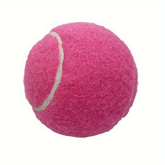 4pcs Tennis Practice Balls with Mesh Bag - Beginners