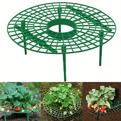 3pcs Strawberry Tray Holder Anti-overturning Plant Support