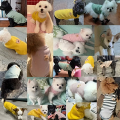 Waffle Pet Vest For Small Medium Dogs Spring And Summer Costume