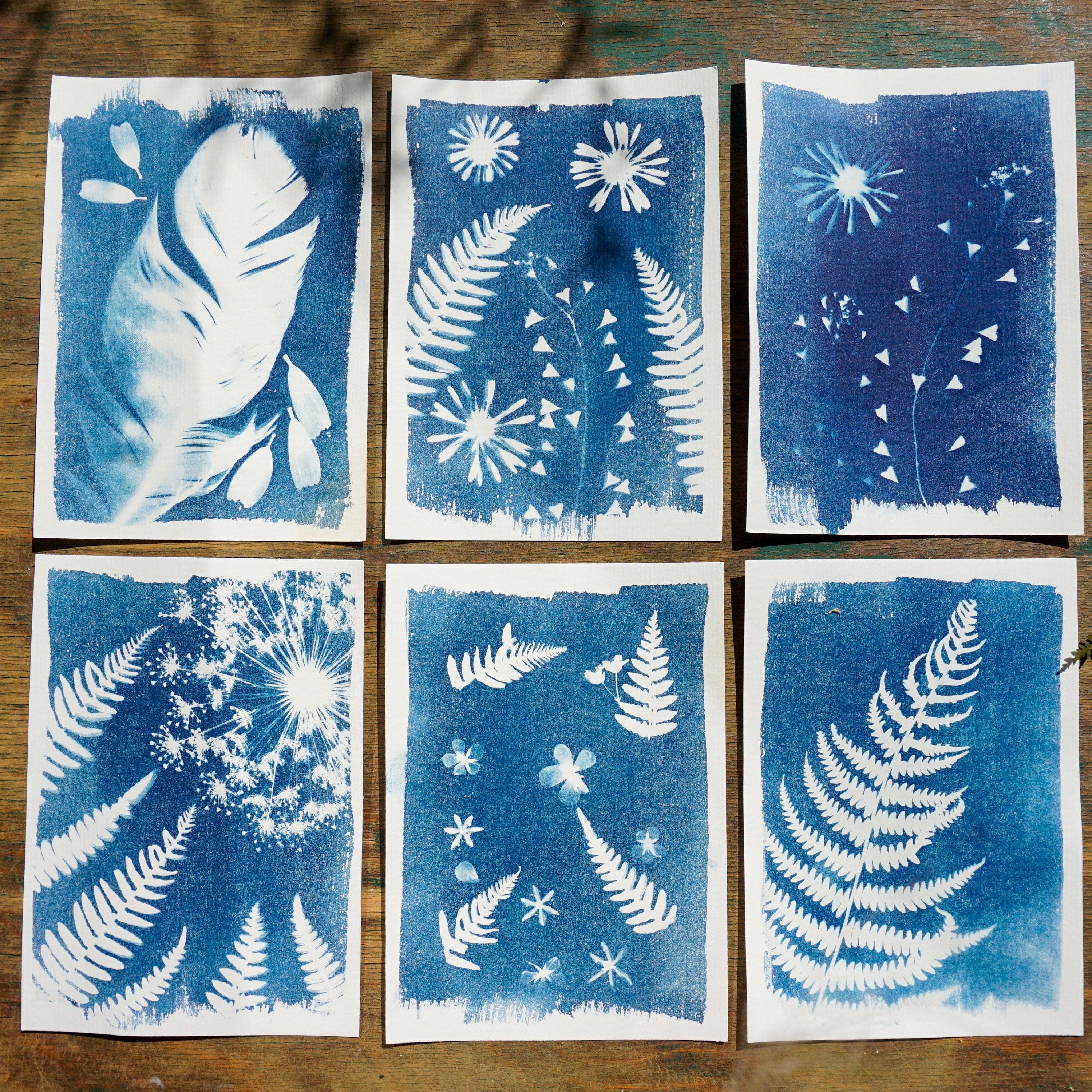 Cyanotype Material Package Set with Sun Paper Tools 14x21 cm