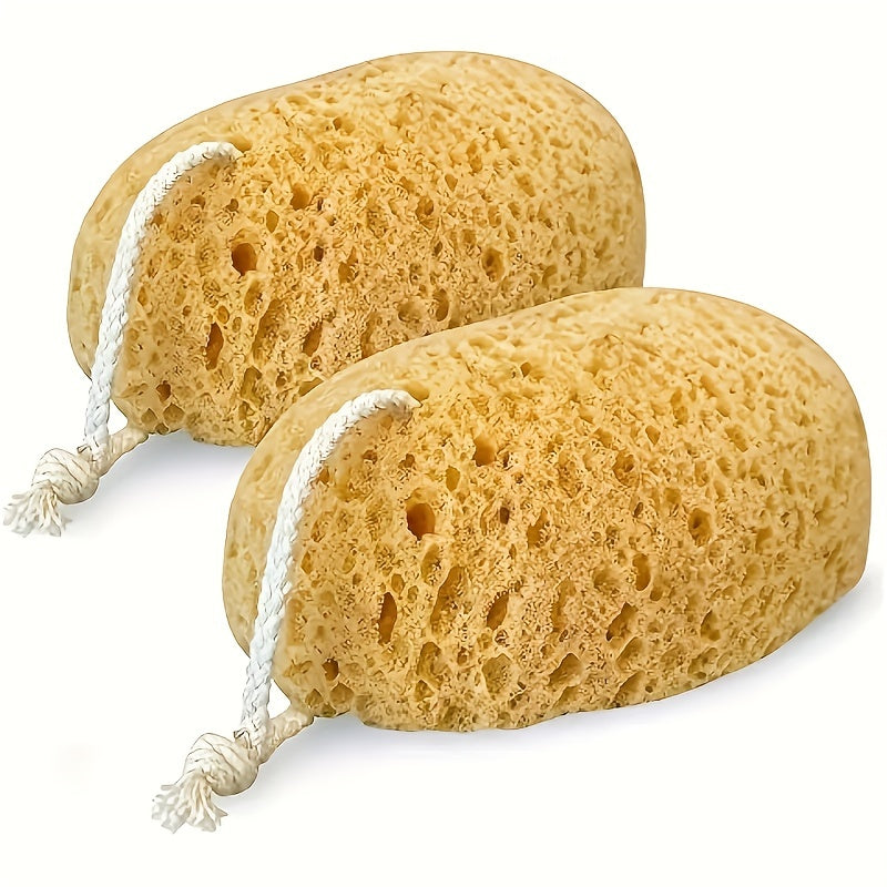 5 Pcs Exfoliating Bath Sponge Natural Seaweed Honeycomb Sponge