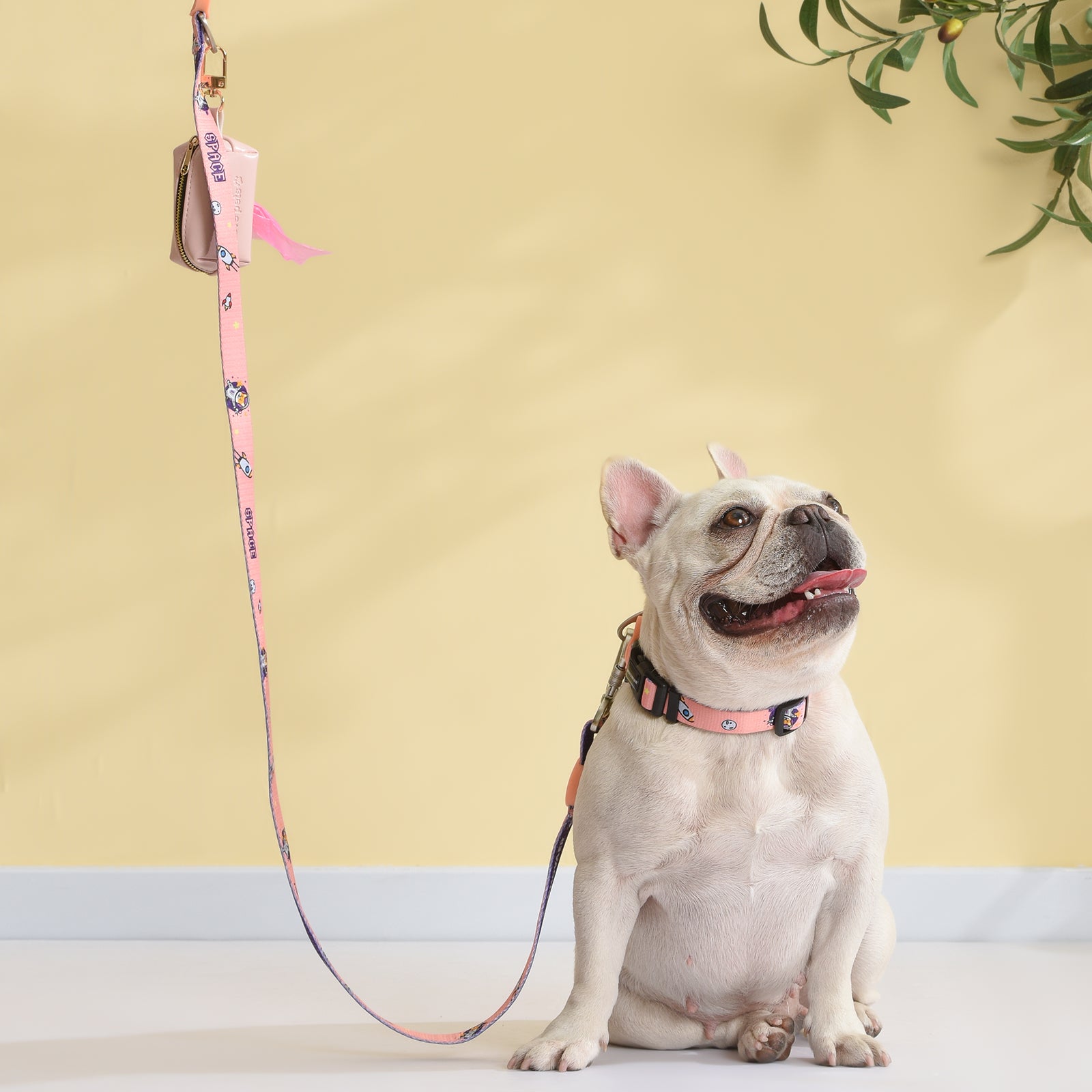 Love Pets Pouch, Portable Pouch, Attach To Leash