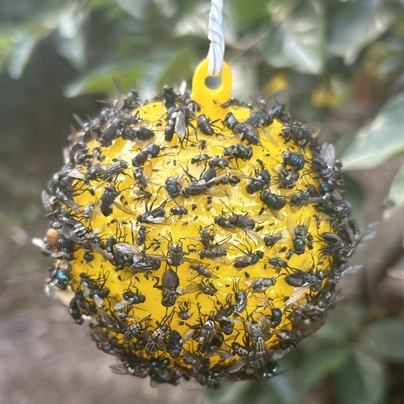 Eco-Friendly Home & Garden Fly Trap