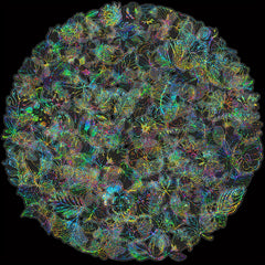 100pcs Holographic Flower & Leaf Stickers for Journals Bikes Helmets