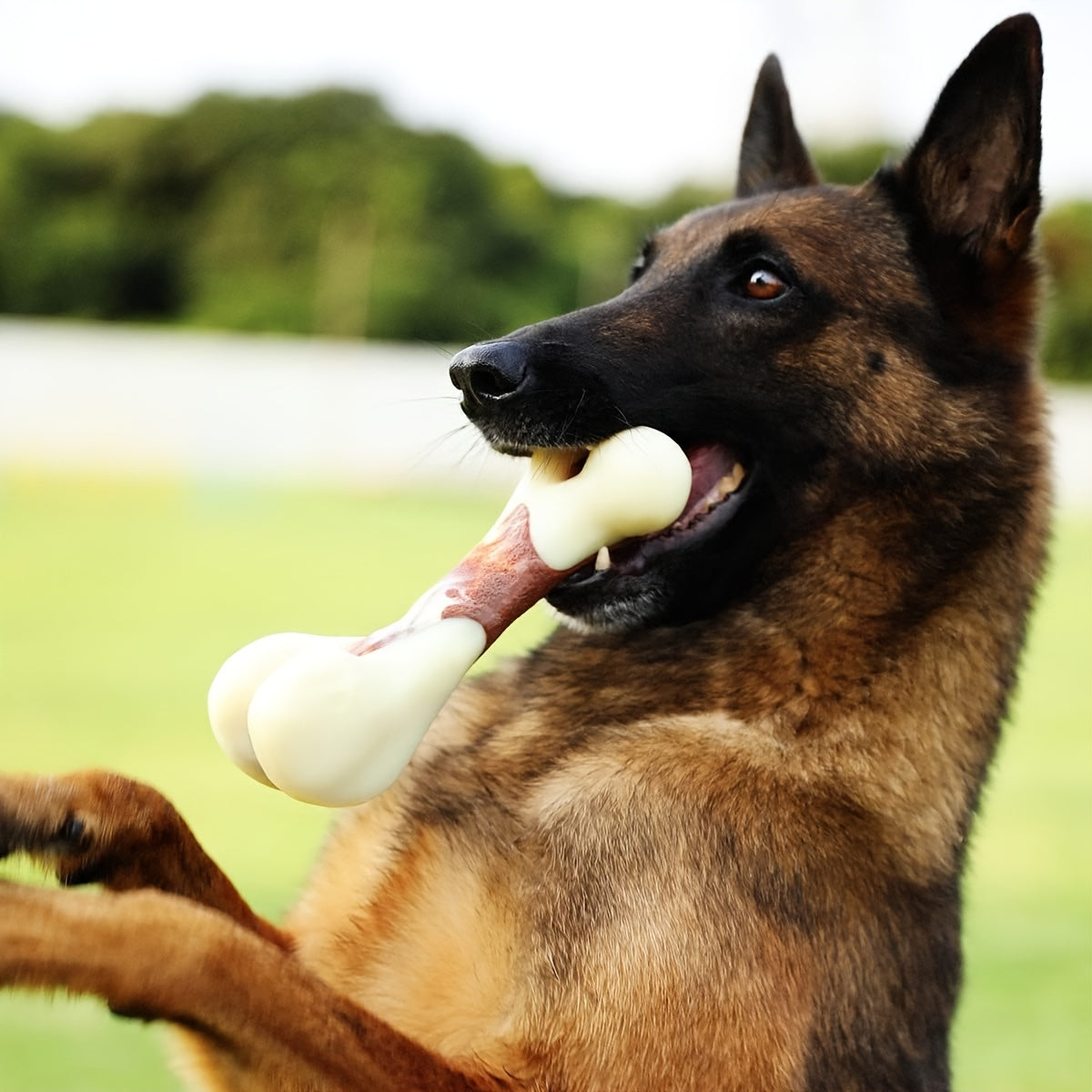 Durable Dog Chew Toys For Aggressive Chewers Small to Medium Breeds