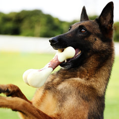 Durable Dog Chew Toys For Aggressive Chewers Small to Medium Breeds