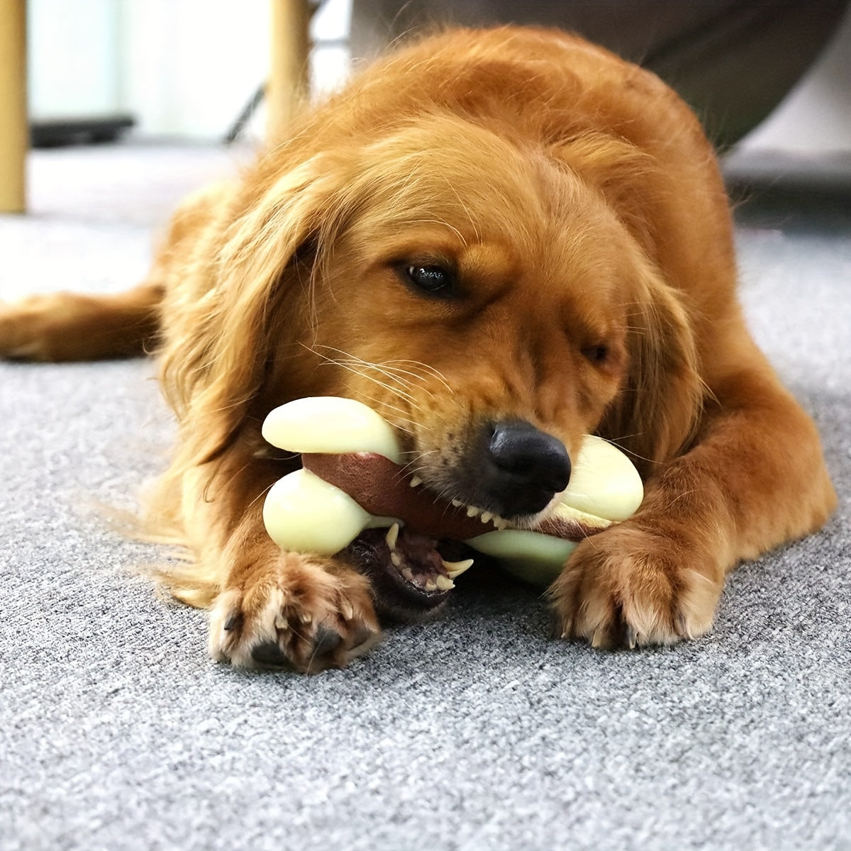 Durable Dog Chew Toys For Aggressive Chewers Small to Medium Breeds