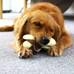 Durable Dog Chew Toys For Aggressive Chewers Small to Medium Breeds