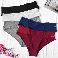 5 Pack Plus Size Sexy Panties Set Women's Plus Breathable Mesh Mid Rise Briefs