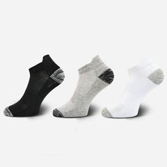 3 Pairs Women's Casual Cotton Ankle Socks