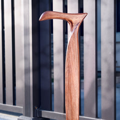Sturdy Walking Stick for Camping and Hiking