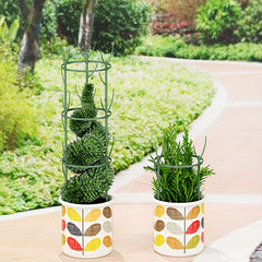 Versatile Plant Fixed Rattan Climbing Bracket Monthly Rattan Climbing Rack