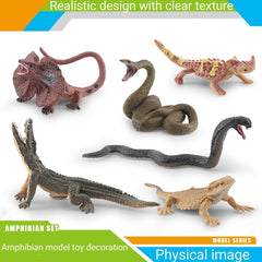 Wild Amphibians & Reptiles Toy Set for Kids