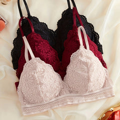 3pcs Lace Bralettes Scallop Trim Bra Women's Lingerie