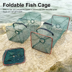 2pcs Foldable Fishing Trap For Shrimp Crayfish Lobster