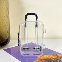 Mini Transparent Storage Bag Travel Jewelry Organizer