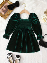 Velvet Long Sleeve Princess Party Dress for Girls